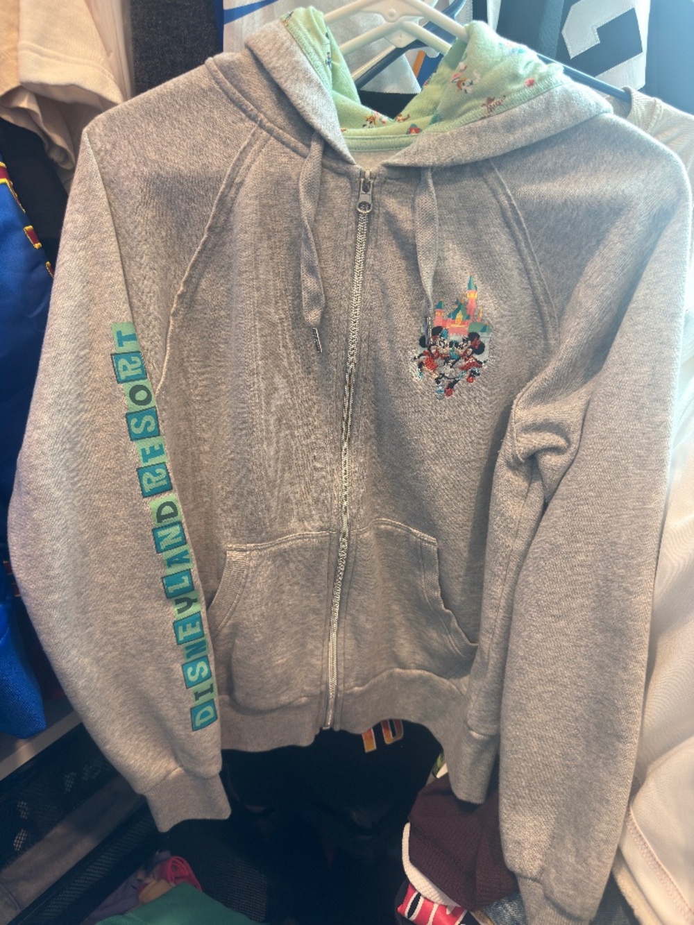 DLR play in the park zip up hoodie